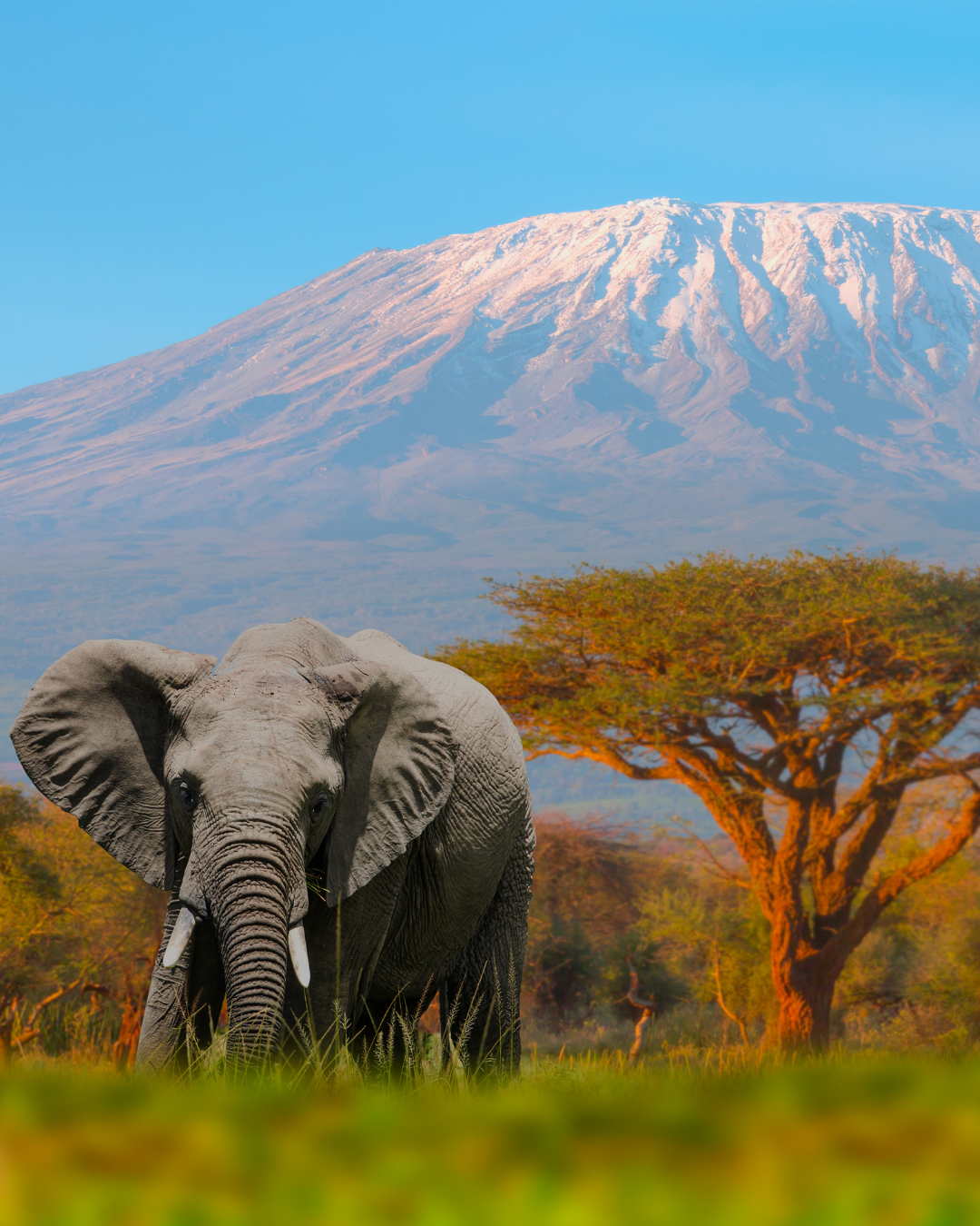 Tanzanie